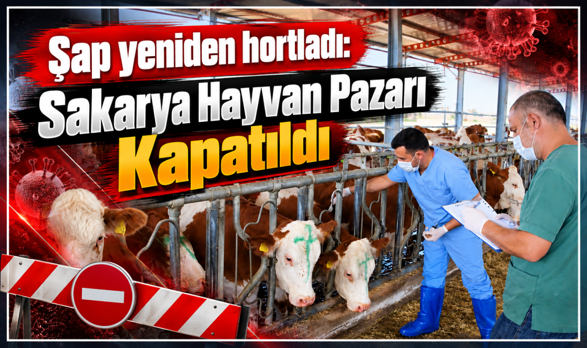 Şap yeniden hortladı; 'Sakarya Hayvan Pazarı' kapatıldı