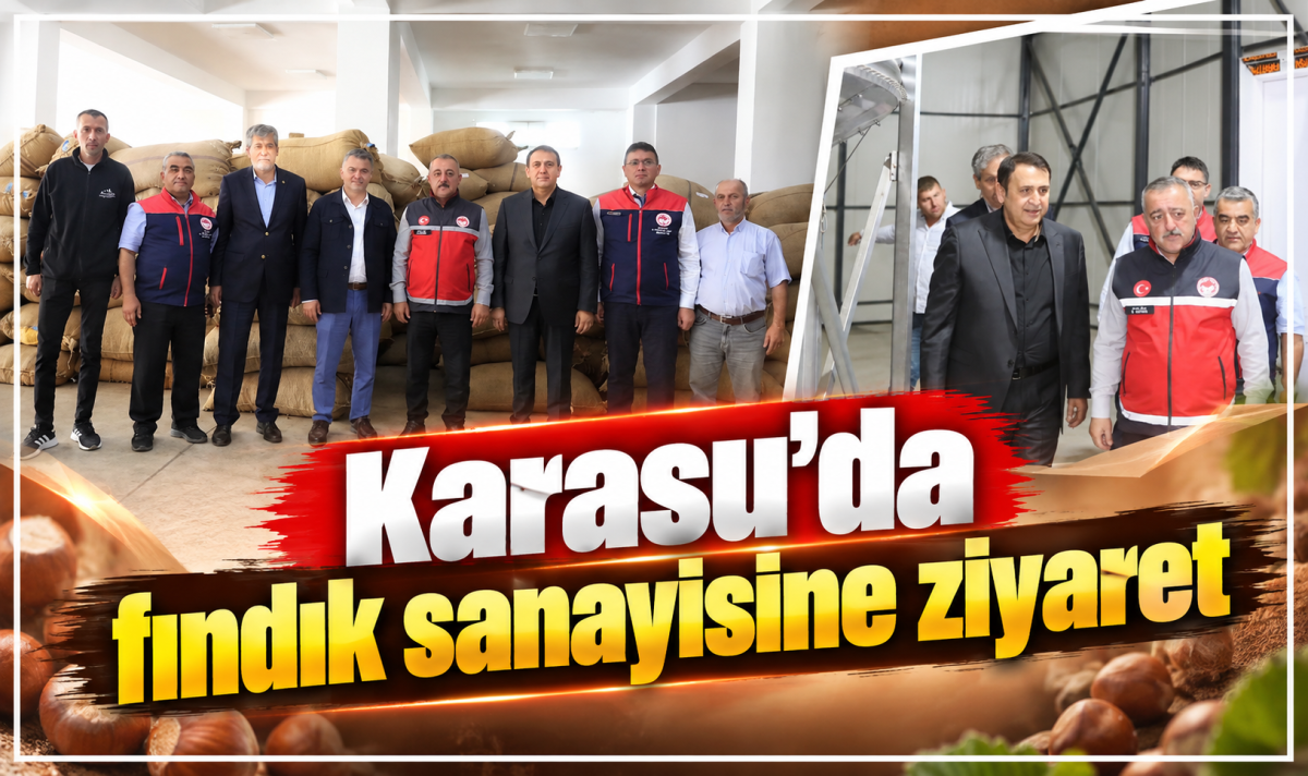 Karasu’da fındık sanayisine ziyaret