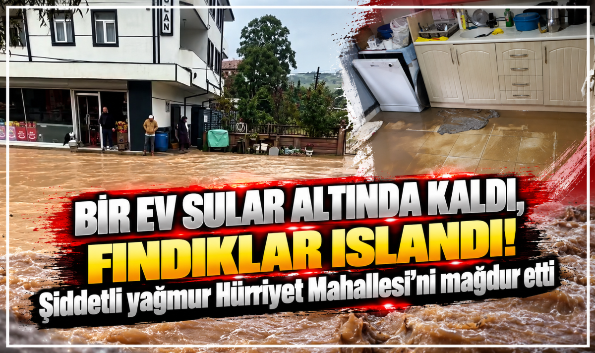 BİR EV SULAR ALTINDA KALDI, FINDIKLAR ISLANDI!