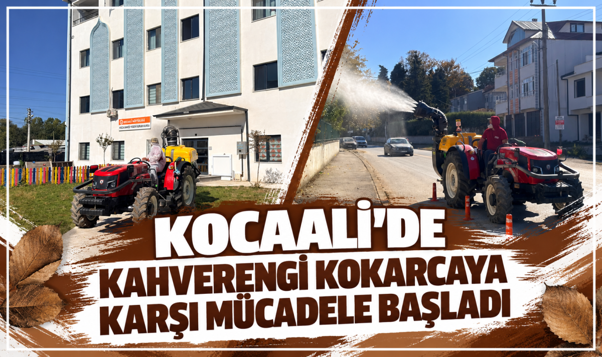 Kocaali’de Kahverengi Kokarcaya karşı mücadele başladı
