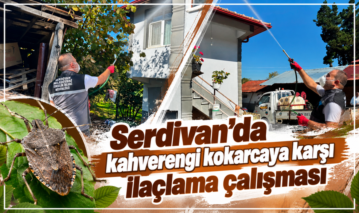 Serdivan’da kahverengi kokarcaya karşı ilaçlama çalışması