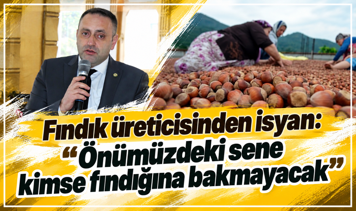 Fındık üreticisinden isyan: Önümüzdeki sene kimse fındığına bakmayacak