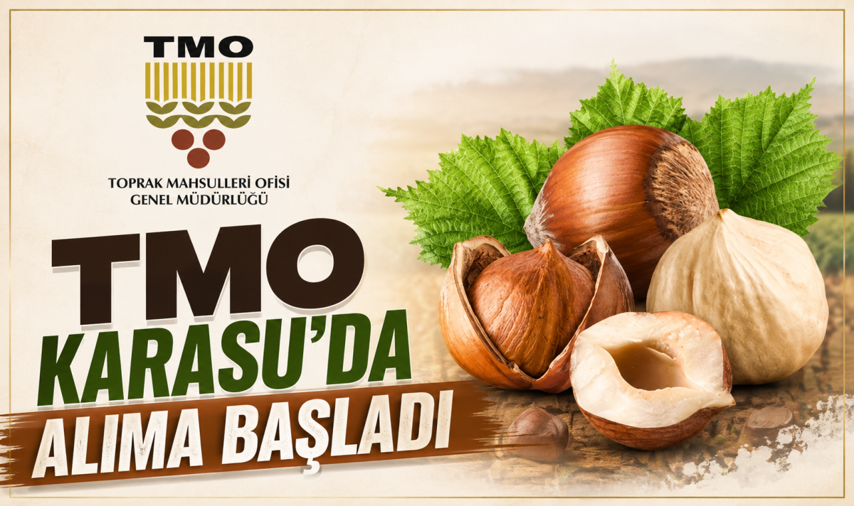 TMO Karasu’da alıma başladı