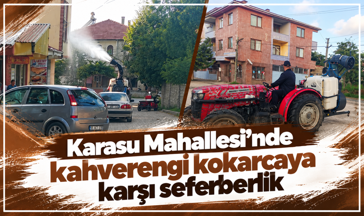 Karasu Mahallesi’nde kahverengi kokarcaya karşı seferberlik